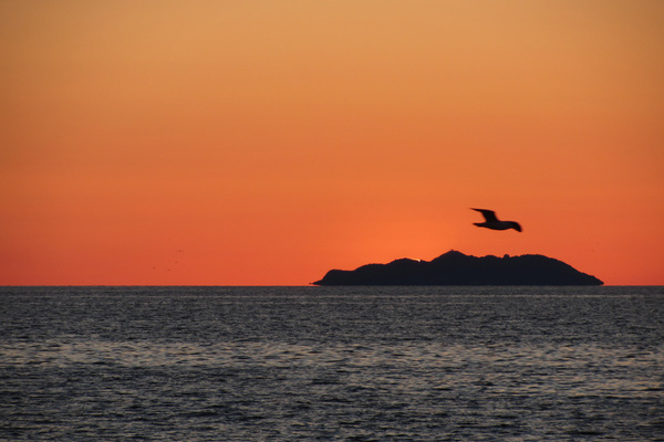 Gorgona bei Sonnenuntergang