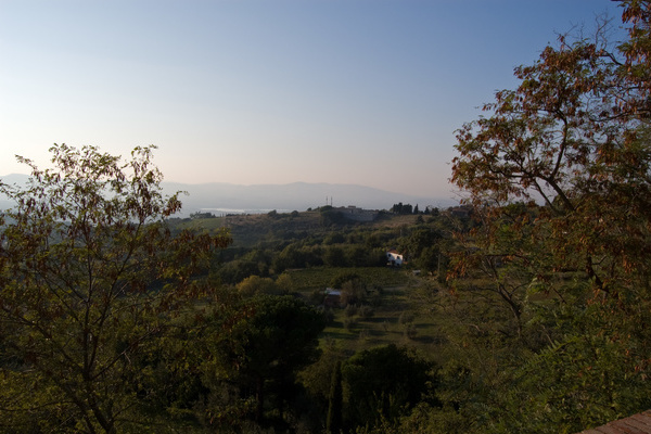 Landschaft bei Castellina Marittima  Andy Schmidt