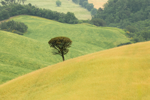 Pienza